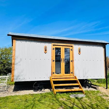 The Hut@Trefechan Wen - Coastal Coziness! Goodwick Eksteriør bilde