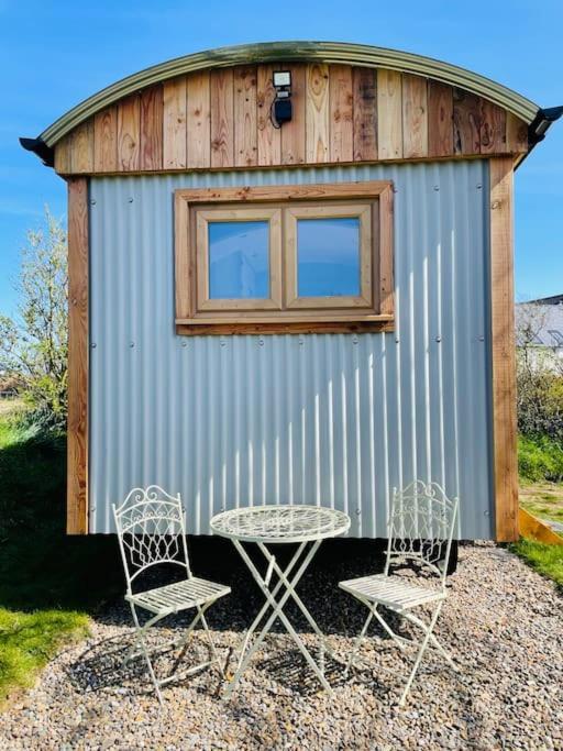 The Hut@Trefechan Wen - Coastal Coziness! Goodwick Eksteriør bilde